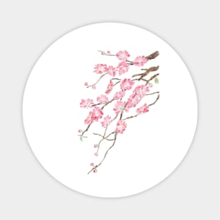 pink peach blossoms 2022 Magnet